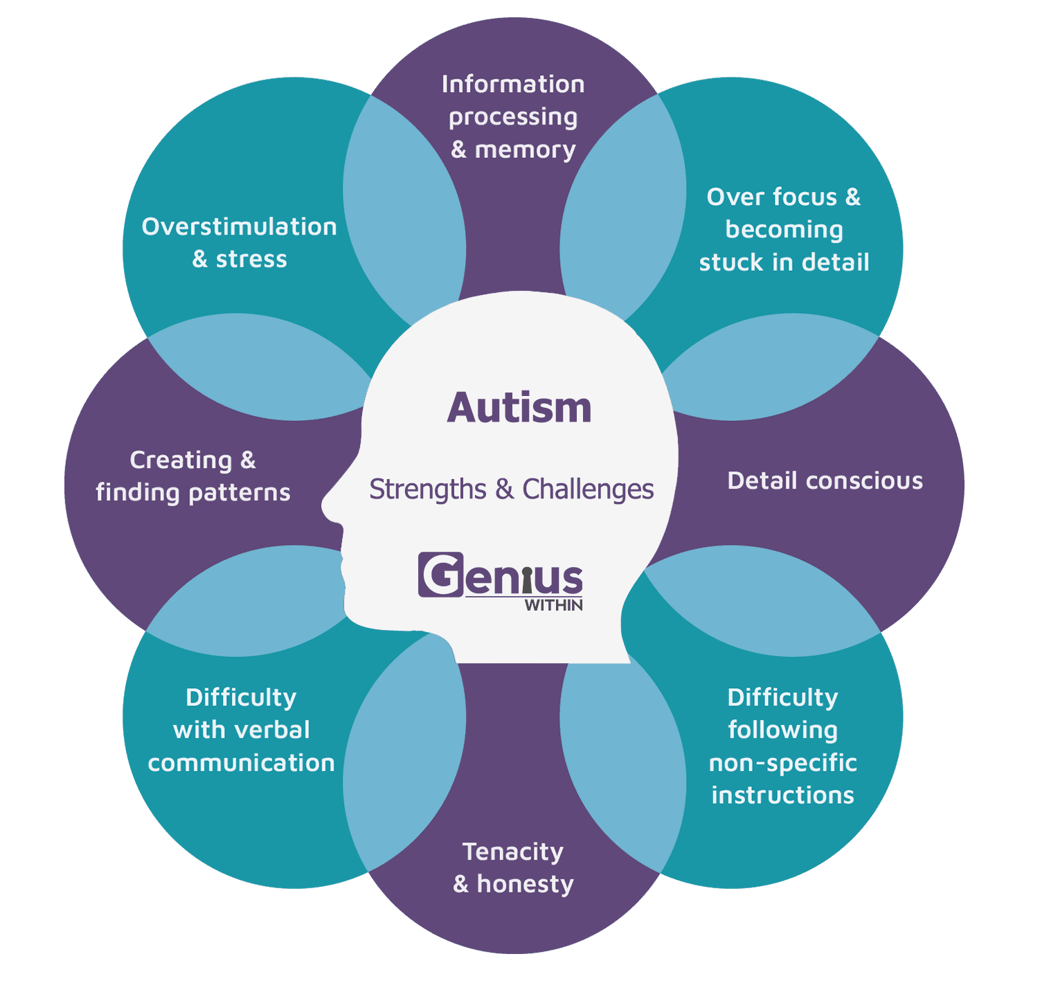Info graphic with head at the centre and overlapping text bubbles in a circle around it. Title reads: Autism, stengths and challenges. The strengths and challenges are listed as follows; information processing and memory, over focus and becoming stuck in detail, detail conscious, difficulty following non-specific instructions, tenacity and honesty, difficulty with verbal communication, creating and finding patterns, overstimulation and stress.
