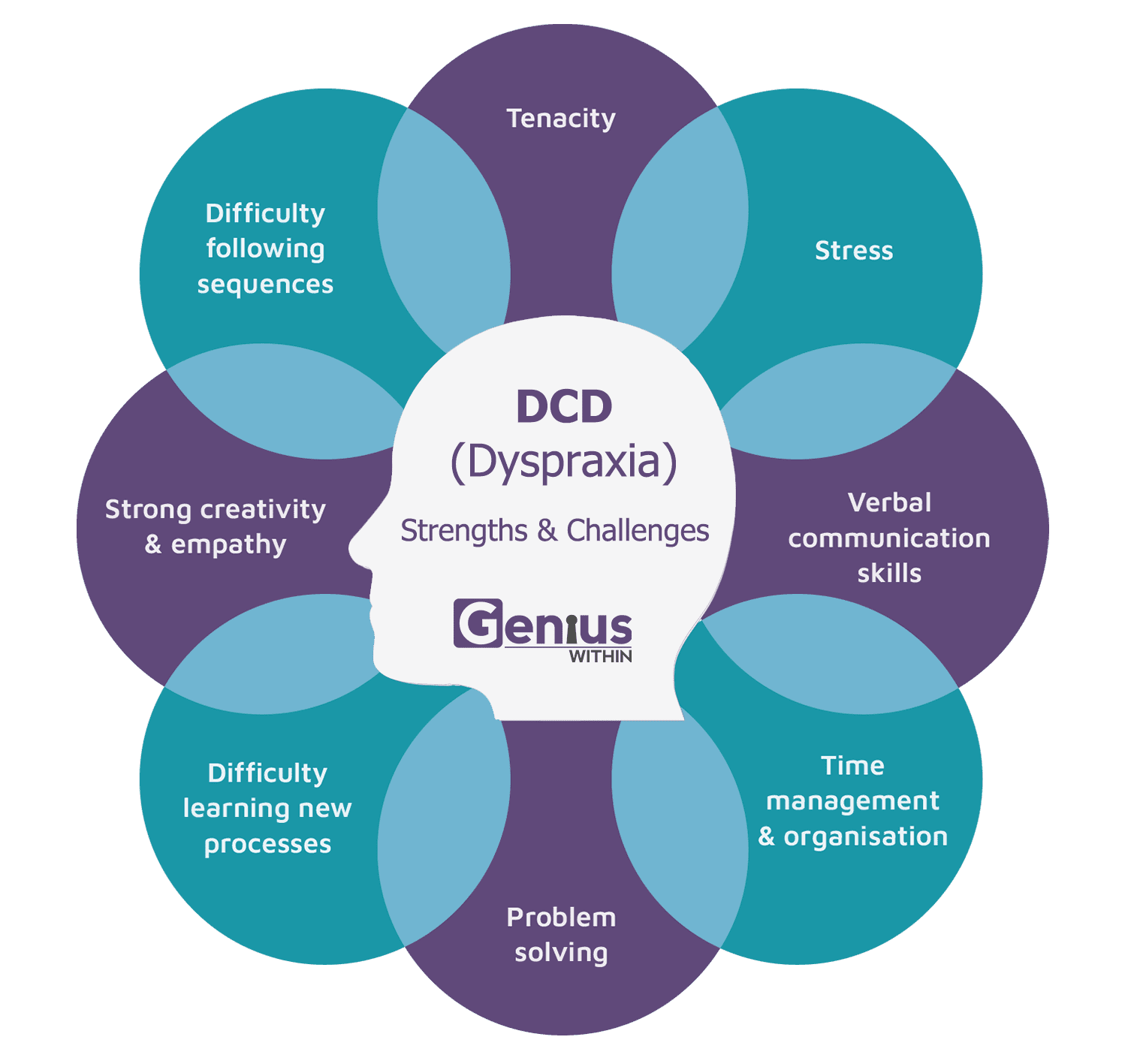 Info graphic with head at the centre and overlapping text bubbles in a circle around it. Title reads: DCD (dyspraxia) strengths and challenges. The strengths and challenges are listed as follows; Tenacity, stress, verbal communication skills, time management and organisation, problem solving, difficulty learning new processes, strong creativity and empathy, difficulty following sequences.