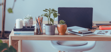 Image of a work from home desk with plants and a pencil pot on